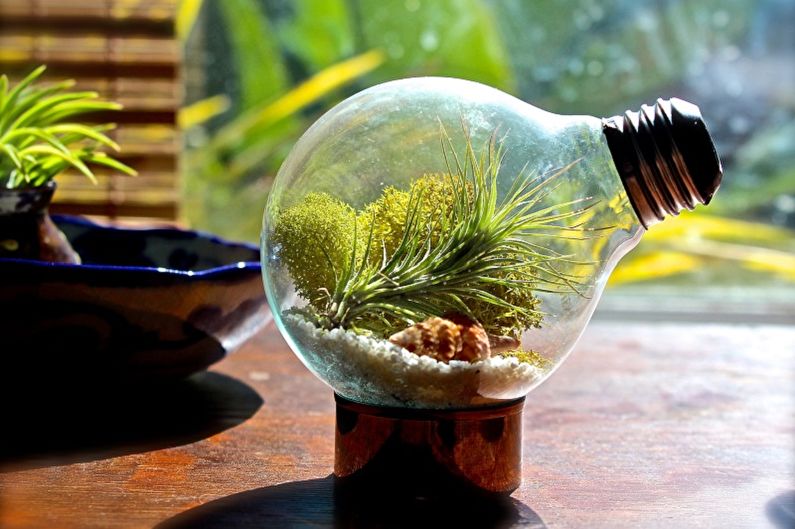 Gjør-det-selv-florarium-I en lyspære
