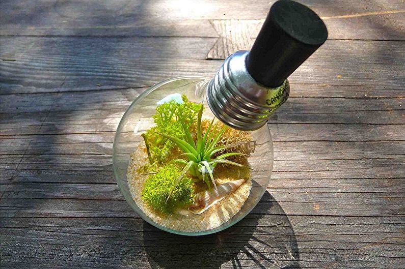 Gjør-det-selv-florarium-I en lyspære