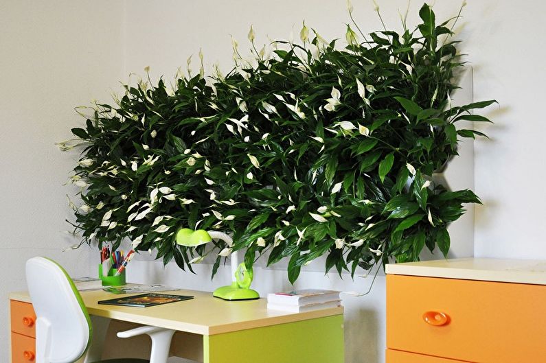 DIY dekorácia na stenu - rastliny