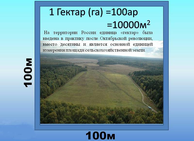 používání termínu hektar v Rusku