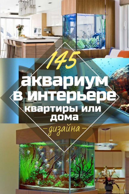 Akvarium i det indre av en leilighet eller et hus: 145+ (Foto) typer for ditt design (hjørne, tørr, skillevegg, liten)