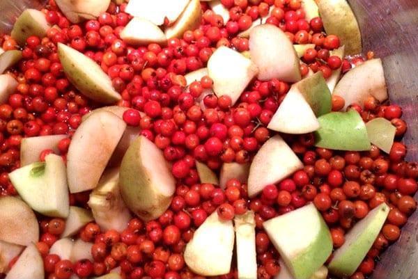 Äpfel und Preiselbeeren für Kompott