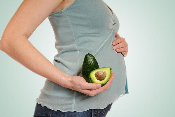 Avocado für Schwangere