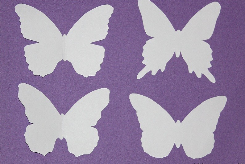 Motyle DIY na ścianie - Motyle z papieru i tektury