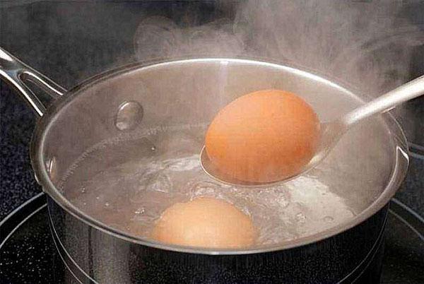 vařit vejce