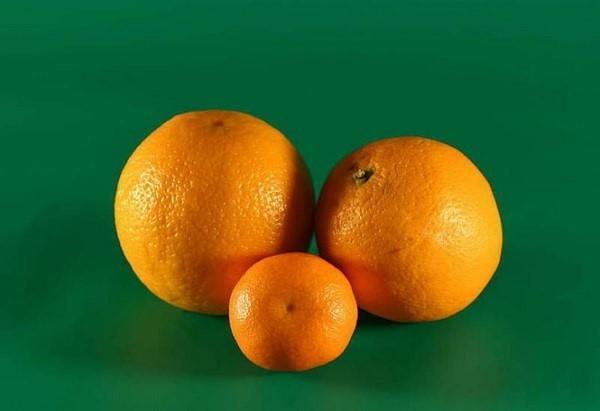 Orangen und Mandarinen