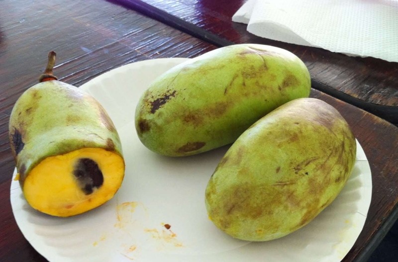 Vorteile von Papayafrüchten