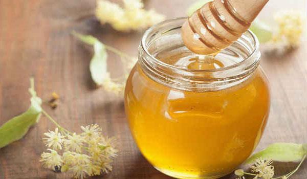 Proč je lipový med užitečný?