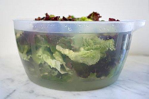 skladování salátu v nádobě
