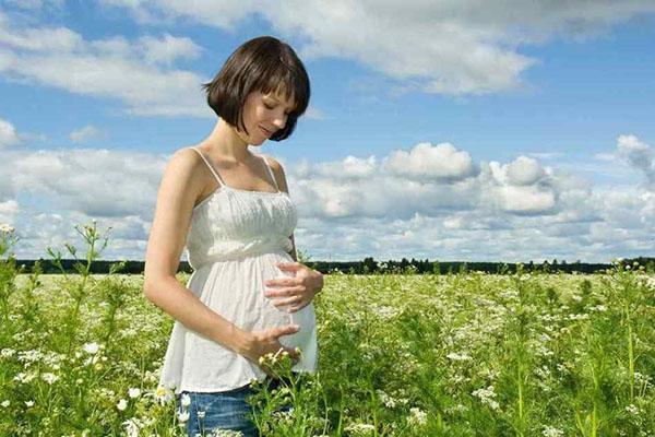 těhotné ženy jsou v řebříčku kontraindikovány