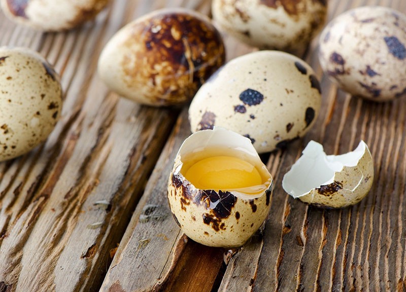 užitečné vlastnosti křepelčích vajec