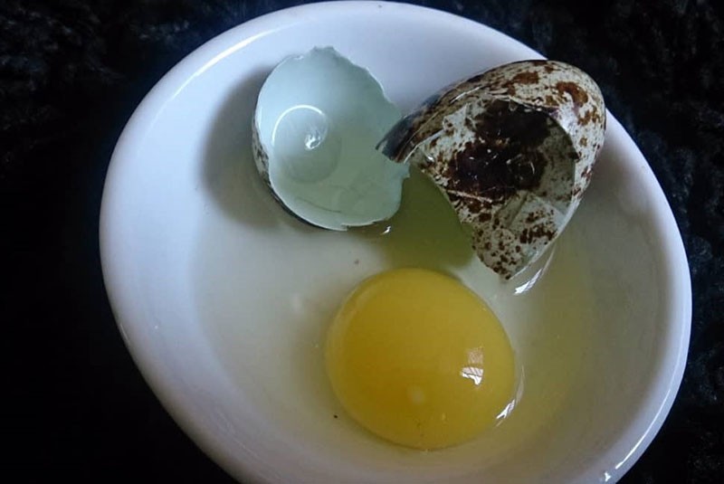 křepelčí vejce pro zdraví nastávající matky