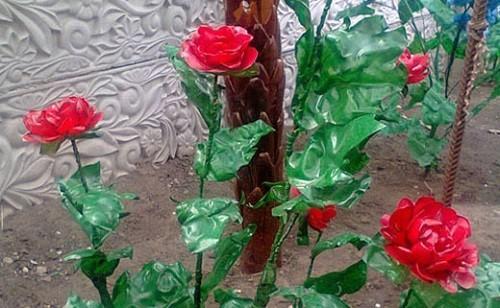 الورود الحمراء من الزجاجات البلاستيكية