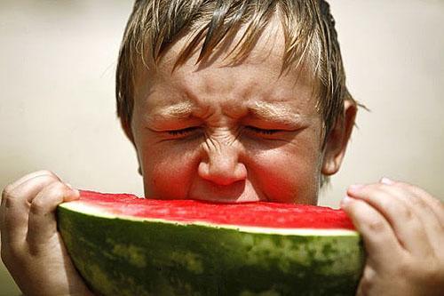Místo sladkosti má dužina raného melounu hořkost.
