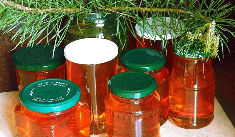 Honig aus Kiefernsprossen hat Kontraindikationen