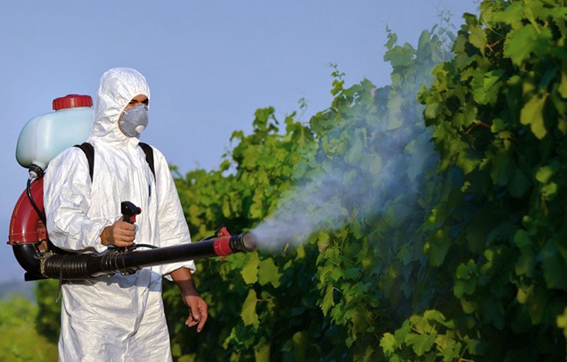 Eigenschaften von Pestiziden