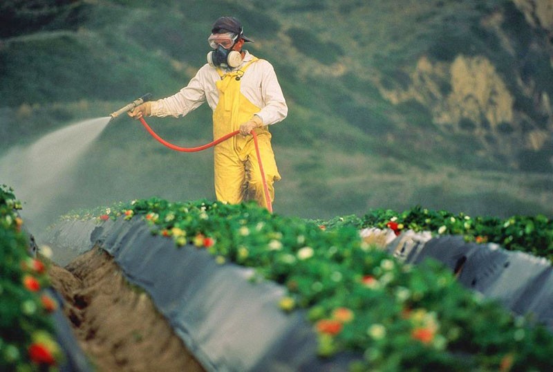 Klassifizierung von Pestiziden nach Wirkmechanismus