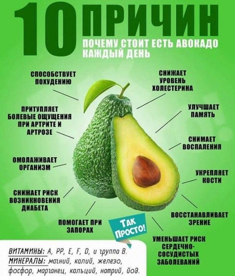 wohltuende Eigenschaften von Avocado