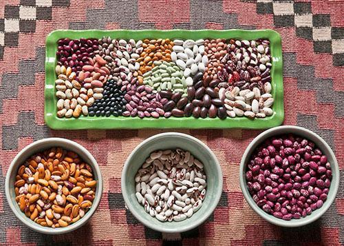 Sušíme fazole různých odrůd