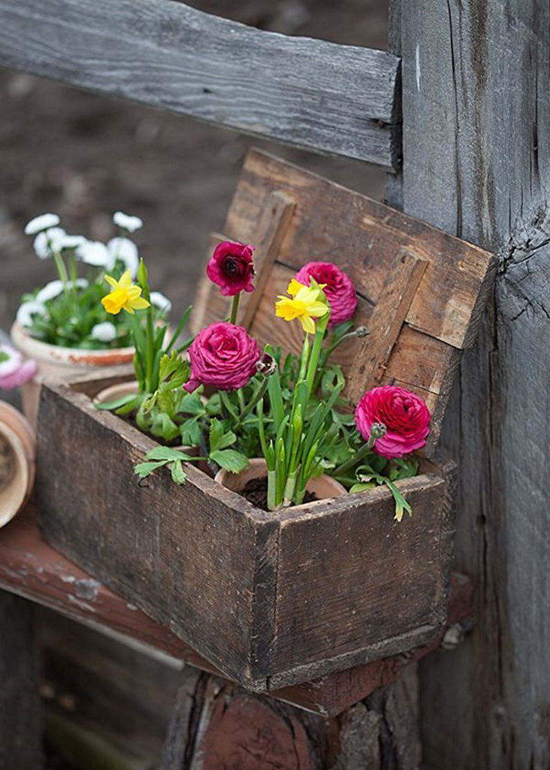 Flori pentru o reședință de vară - Grădină de flori folosind lucruri vechi