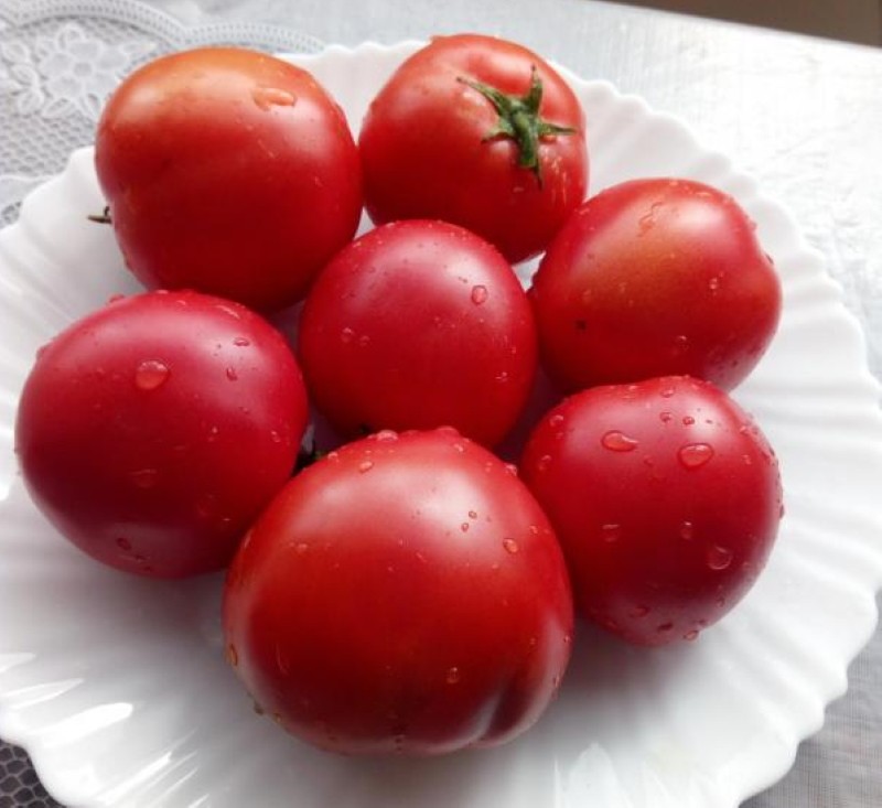 klady a zápory demidovských rajčat