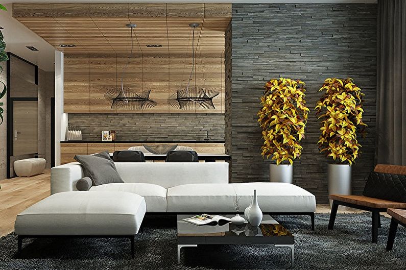 Dekoratívny kameň v interiéri - minimalizmus