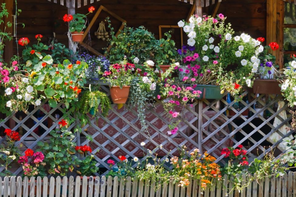Gard frumos decorat cu flori