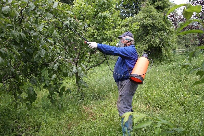použití fungicidu pro ovocné stromy