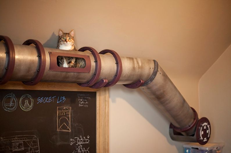 בית חתולים DIY - צילום