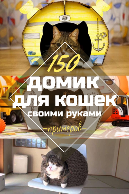 Dom dla kota DIY: Jak to zrobić krok po kroku? 150+ (zdjęcie) wykonane z drewna, kartonu, pudełek, z drapakiem