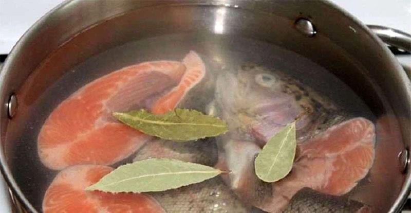 Fisch kochen