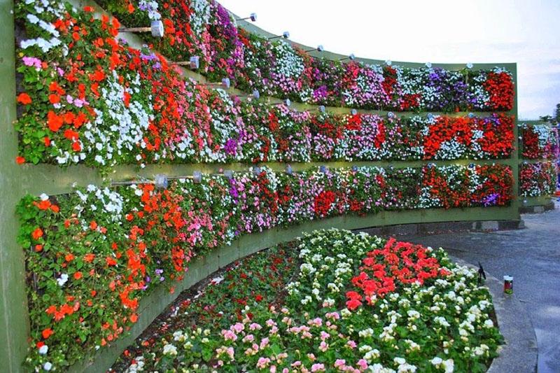 vertikální zeď květinové zahrady