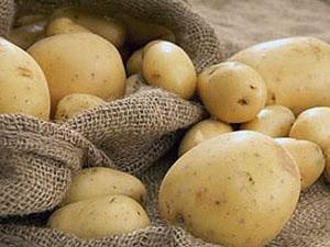 Čisté, nekontaminované brambory