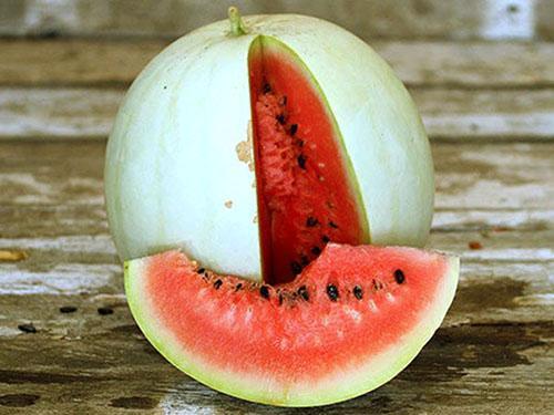 Weiße Wassermelone hat rotes oder rosa Fruchtfleisch