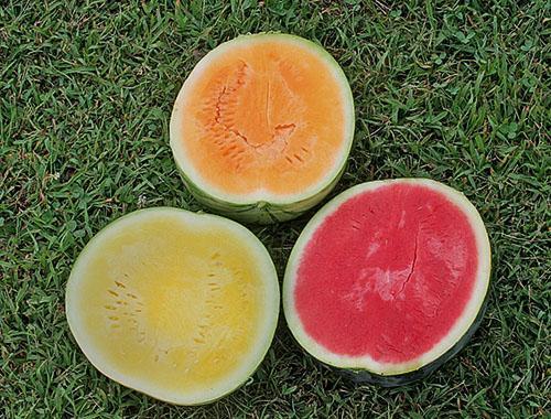 Wassermelonen mit Fruchtfleisch in verschiedenen Farben