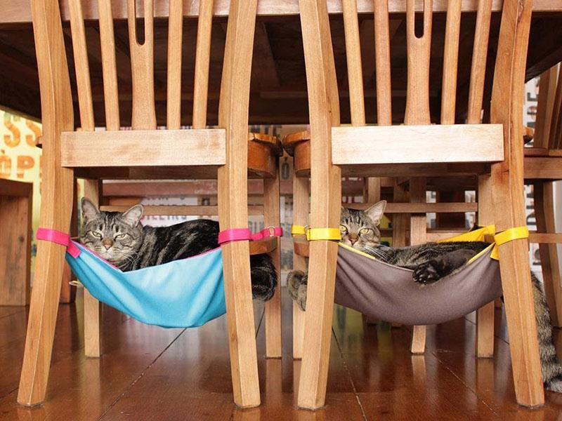 kočičí houpací síť pod židlí
