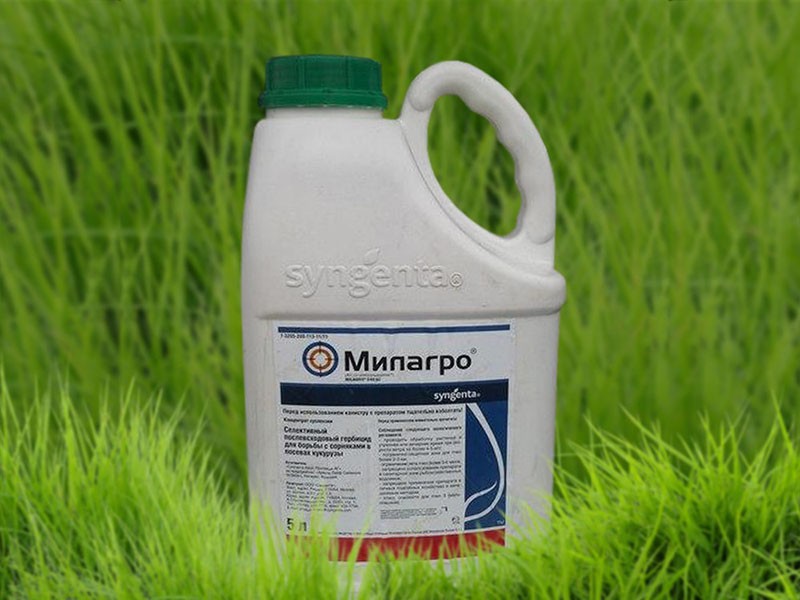 postemergentní herbicid Milagro
