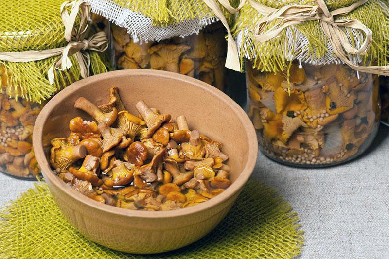 Eingelegte Pilze Rezepte zum Kochen von Pfifferlingen