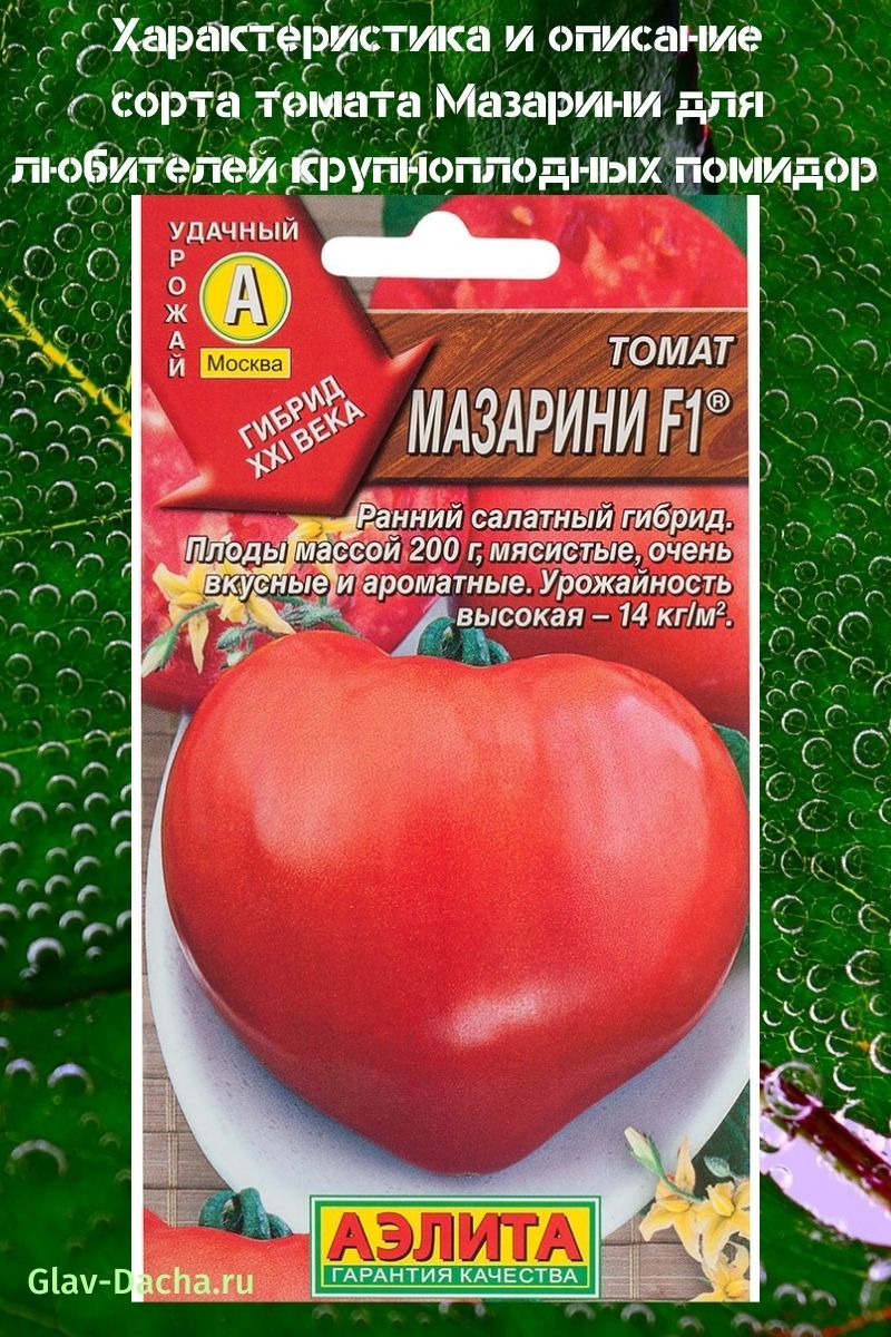 popis odrůdy rajčat Mazarin