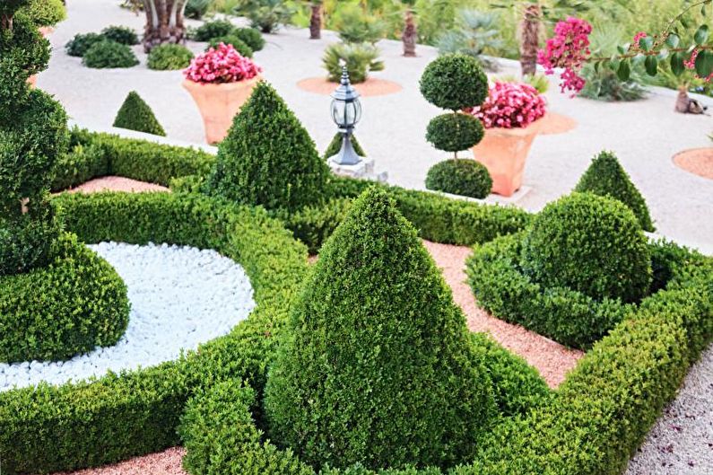 Iglavci za urejanje krajine - Elegantno oblikovanje vrta z iglavci