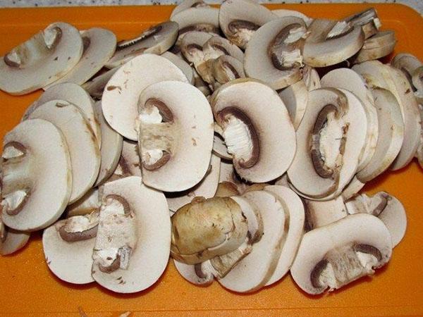 houby talíře