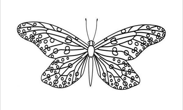 Schmetterling mit großer Flügelspannweite