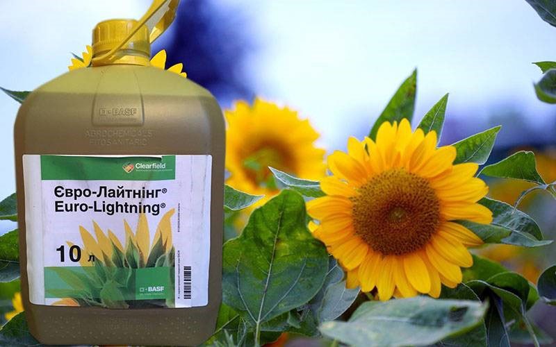 تعليمات مبيدات الأعشاب eurolighting