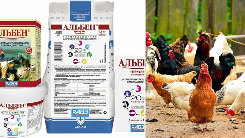 návod k použití albenu pro kuřata
