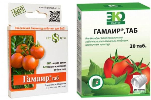 gamair proti chorobám rajčat