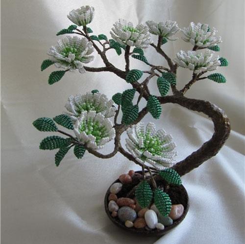 kvetoucí bonsai