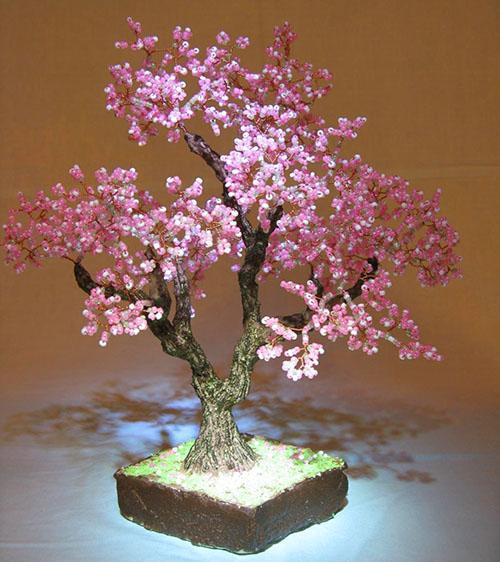 úžasný bonsai korálek