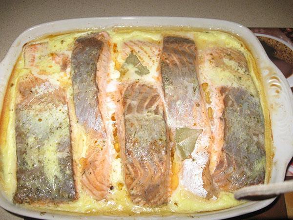 اخبز السمك مع صلصة الكريمة
