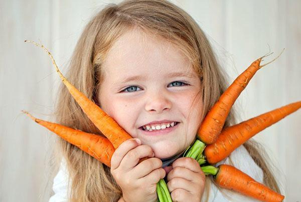 Karotten in der Kinderernährung