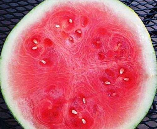 Nitrat Wassermelone